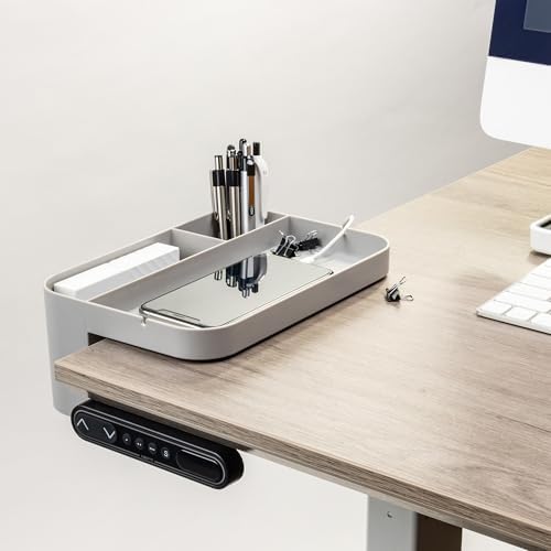 deflecto Standing Desk Large Desk Organizer, Two Sections, 9 x 6.17 x 3.5, Gray