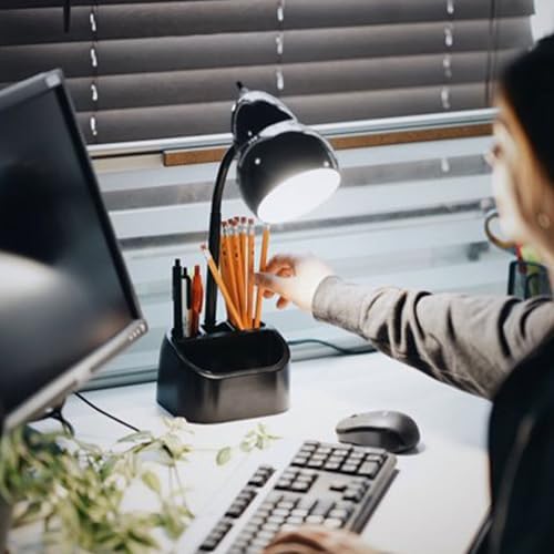 Globe Electric 6.3 x 6.69 x 10.63 Inches Goose Neck Desk Lamp with 10 Watt A-19 Non Dimmable LED Bulb, 2.1a USB Port and Organizer, Black