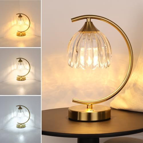 Shenmoyl Tulip Table Lamp, 5200mAh Cordless Touch Control Table Lamp with 3 Color Temps & Stepless Dimming, Rechargeable Battery Table Lamp for Living Room, Bedroom, Office, Shelf (Transparent Tulip)