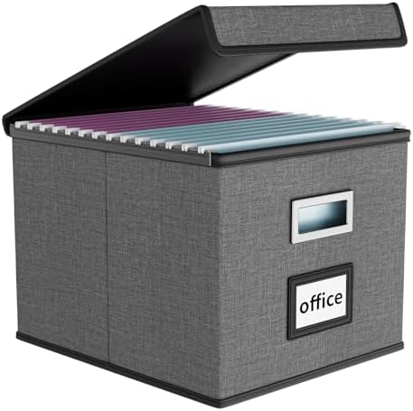 File Organizer Box with Lids, Collapsible File Folder Organizer