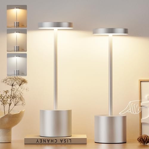 Kakanuo Silver Gray Cordless Lamp Set, Rechargeable Lamp, 3 Color Temperature, LED Outdoor Wireless Lamps, Battery Operated Lamps, Stepless Dimmable, Touch Control