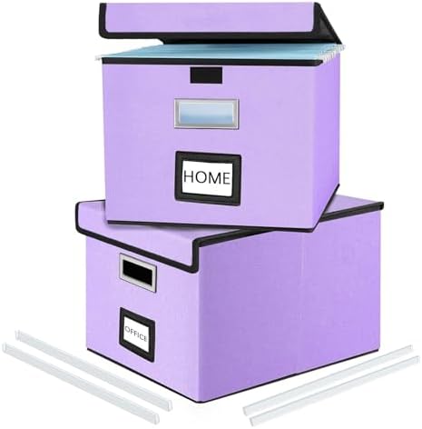 File Organizer Box with Lids, Collapsible File Folder Organizer