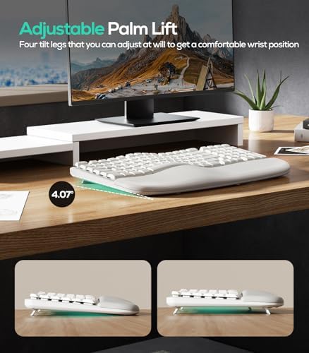 Nulea RT08 Wave Keys Wireless Ergonomic Keyboard with Cushioned Palm Rest, 2.4GHz Ergo Cordless USB Computer Keyboard, Comfortable Natural Typing, for Laptop, Mac, Windows (White)