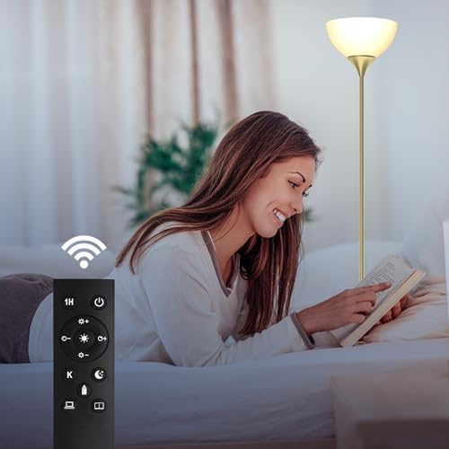 PESRAE Floor Lamp, Remote Control, Stepless Brightness & Color Temperature