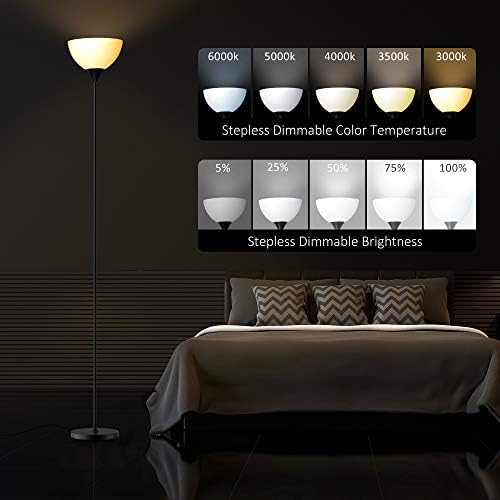 PESRAE RGB Floor Lamp, Stepless Brightness & Color Temperature