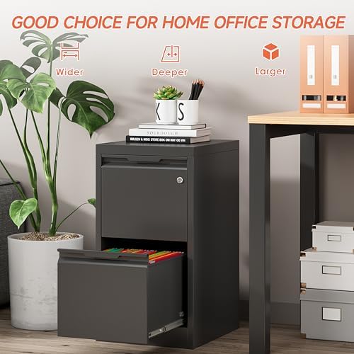 Metal Filing Cabinet With Lock, Vertical 2 Drawer Cabinet for Home Office/Legal/Letter/A4, Lockable for Hanging Files - Assembly Required/Black
