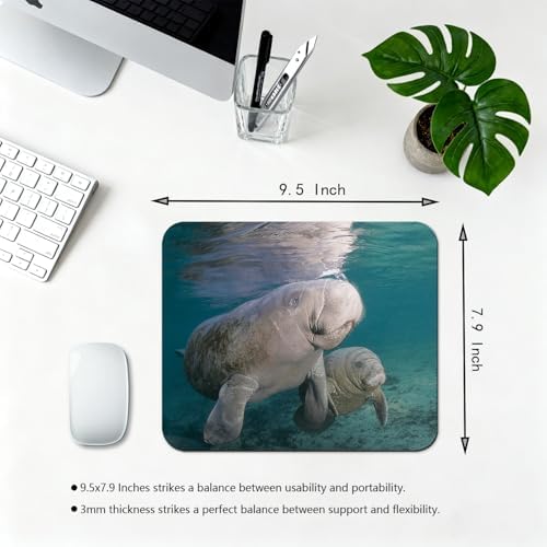 9.5x7.9 Inch Office/Gaming Mouse Pad, Florida Manatee Mother and Calf Marine Mammal Gentle Sea Cow, Cute Anti-Slip Mat for Desk Decor