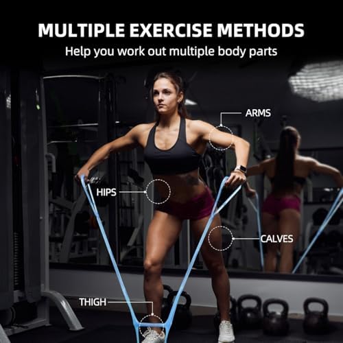 Resistance Bands for Working Out, Adjustable 7-Ring with Handles, Exercise Stretch Bands for Women&Men Fitness,Pilates,Yoga and Physical Therapy