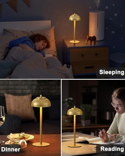 Cordless Table Lamps, Rechargeable LED Touch Lamp, Gold, 4 Pack