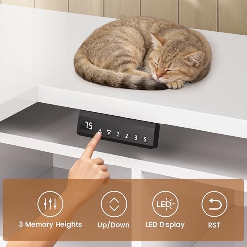 SEDETA L Shaped Electric Corner Standing Desk with Storage, Monitor Stand
