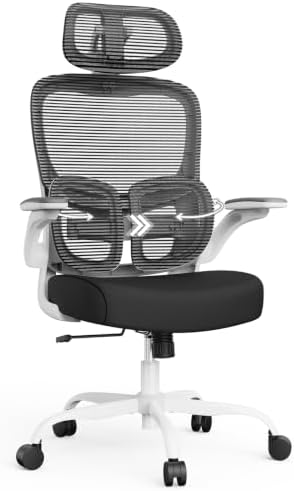 Ergonomic Office Desk Chair, Adjustable Dual Lumbar Support & Thick Seat