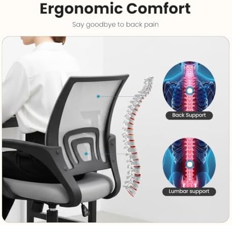 DUMOS Ergonomic Office Chair, Mid-Back Executive Desk Chair 2 Pack