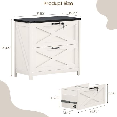 Halitaa Farmhouse Lateral File Cabinet with 2 Drawers, White and Black