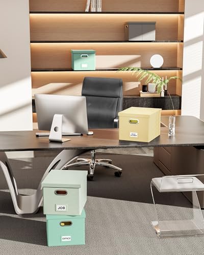 Oterri 2 Pack File Storage Organizer Box,Portable File Box with Lid,Fit for Letter/Legal File Folder Storage, Mint-green(Leather)