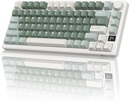 RK ROYAL KLUDGE M75 Wireless Mechanical Keyboard with OLED Display & Knob