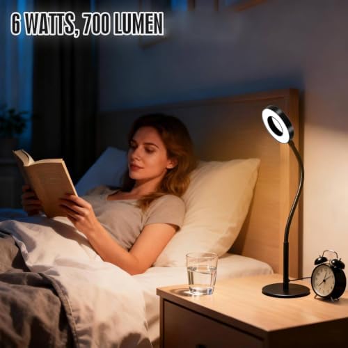 6W LED Desk Lamp with Gooseneck and US Adapter
