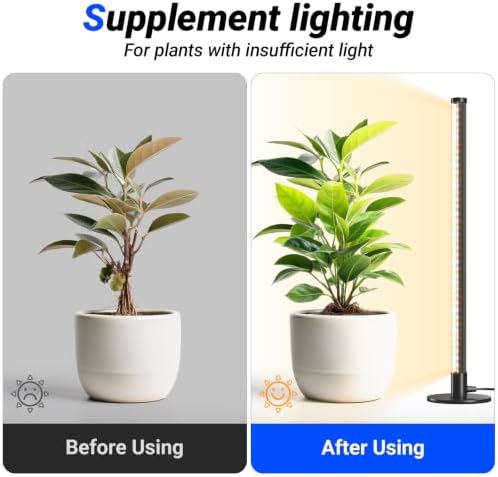 Barrina T10 Standing Grow Light for Indoor Plants, 20W 2FT, Full Spectrum
