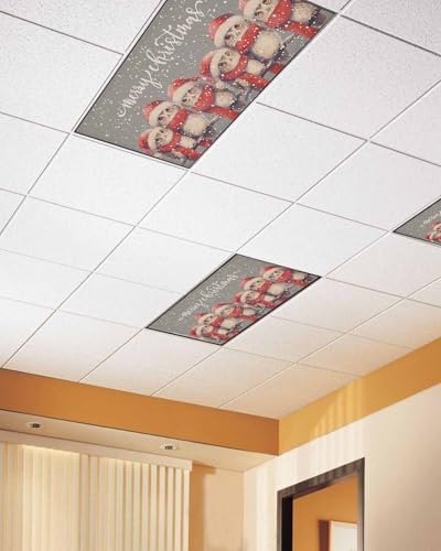 Christmas Red Magnetic Fluorescent Light Covers for Ceiling Lights 2 x 4 Feet,Snowflakes Vintage Owl Watercolor Grey Office Classroom Kitchen Drop Ceiling Light Covers Filters Shade Panel 3 Packs
