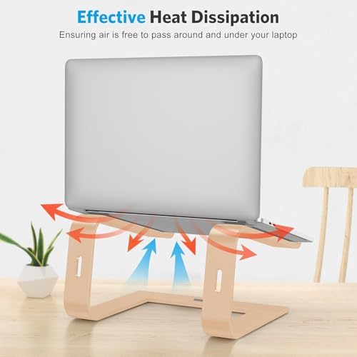 OMOTON Laptop Stand, Detachable Laptop Mount, Aluminum Laptop Holder Stand for Desk, Compatible with MacBook Air/Pro, Dell, HP, Lenovo and All Laptops (11-16 inch), Gold