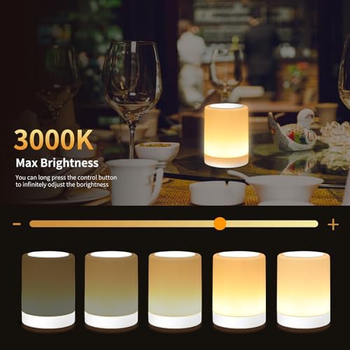 OORUN Touch Bedside Table Lamp,13 RGB Colors & 5 Brightness, USB Rechargeable Desk Lamp, Remote Control Dimmable Night Light with RGB Color Changing,Portable Lamp for Baby (2 Pack White)