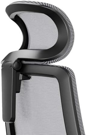 Branch Adjustable Ergonomic PRO Headrest Attachment