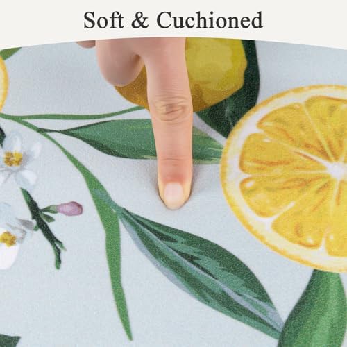SHACOS Anti Fatigue Lemon Kitchen Rugs Mats Set of 2 Pieces Non Slip Soft Cushioned Standing Mat and Runner Wipeable Waterproof Floor Mat, 17"x27.5"+17"x47", Light Blue