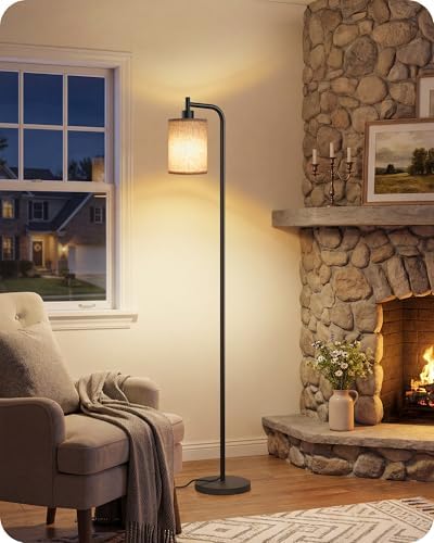 Dimmable Floor Lamp for Living Room with Remote & 10W Bulb