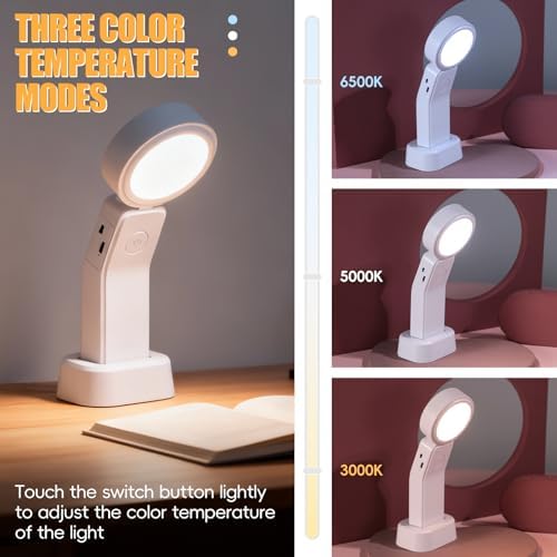 oneleaf EU AAA Grade Eye-Caring Desk Lamp, Stand 2-in-1 Dimmable LED Light (Oval) (Round)