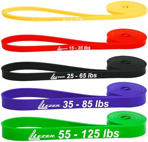 LEZER Resistance Bands - Pull Up Bands for Home Gym Fitness, Stretching, Physical Therapy & Training - Includes Instruction
