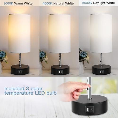 ROTTOGOON 3-Color Temperature Bedside Lamp Nightstand Lamp with USB A Port and C Port, Table Lamp for Bedroom with LED Bulb Small Lamps for Living Room (White)