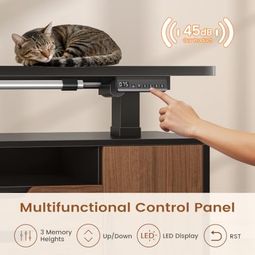 SEDETA Modern L Shaped Executive Electric Standing Desk with 4 Drawers