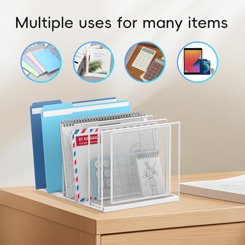 File Organizer for Desk, 5-Section Vertical File Sorter, Paper Holder Organizer Standing Metal File Folder for Office Home Classroom, White