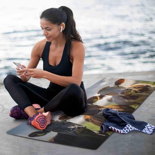 Highland Cow Yoga Mat Anti-Tear Non-Slip Fitness Exercise Mat for Women & Men 71" x 26" Workout Mat for Home Pilates Stretching Floor Exercise with Storage Bag