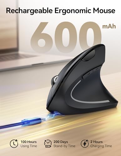 TECKNET 2.4G Wireless Ergonomic Vertical Mouse(USB Receiver, Rechargeable)