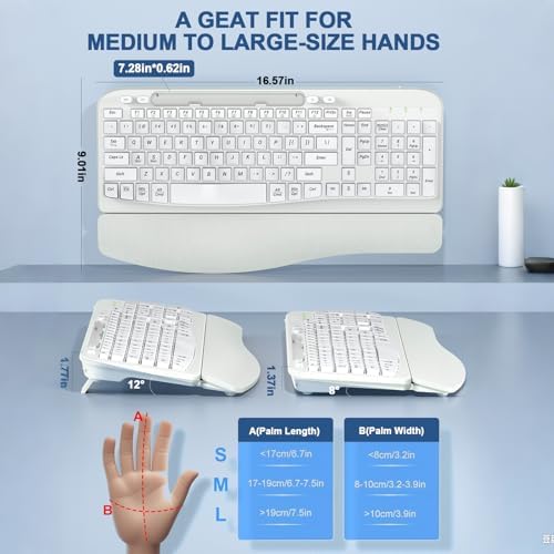 EAYBLLY 2.4G Wireless Ergonomic Keyboard, Full Size Wave Keys with Memory Foam Wrist Rest & 7.28in Phone Holder, USB-C Adapter Included for Windows Mac Chrome OS, Office or Home (White)