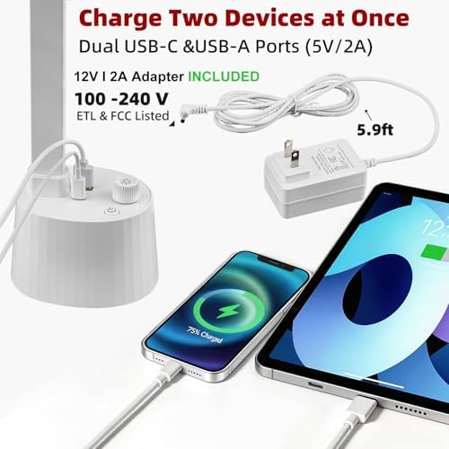 BOHON Small Desk Lamp with USB C Charging Port 5 Colors Stepless Dim White