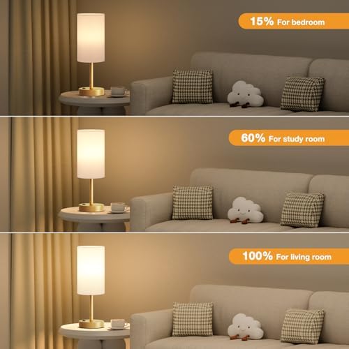 Fenmzee 17.4" Gold Lamp for Bedroom - Dimmable Touch, USB A+C, AC Outlet