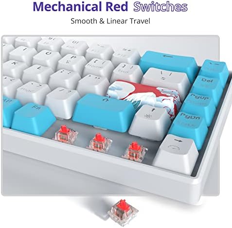 Owpkeenthy Portable 60% Mechanical Gaming Keyboard, Ultra Compact RGB Wired 65 Percent Mini Office Keyboard Backlit with Red Switch for PC/PS5/XBOX(Blue/ 68 Red Switch)