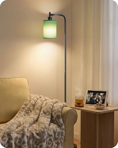 Dimmable Floor Lamp for Living Room with Remote & 10W Bulb