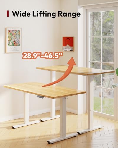 SANODESK 63''x24'' Height Adjustable Electric Standing Desk for Home Office