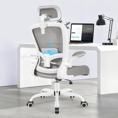 FelixKing Ergonomic Office Chair, Headrest Desk Chair with Adjustable Lumbar Support, Home Office Swivel Task Chair with High Back and Armrest, Adjustable Height Gaming Chair(Gray)