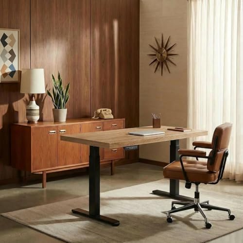 ErGear 48 X 24 Inch Height Adjustable Electric Standing Desk, Natural Oak