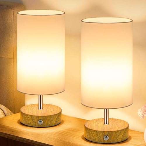TOBUSA 2-Pack Rechargeable Cordless Table Lamps, 6000mAh Battery Operated