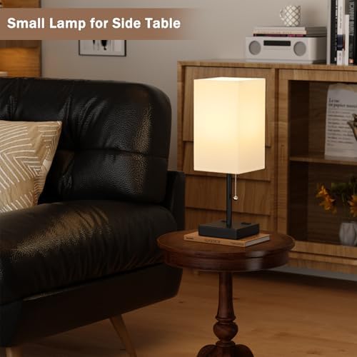 Fenmzee Bedside Lamp for Bedroom Set of 2 - Table Desk Lamp for Nightstand