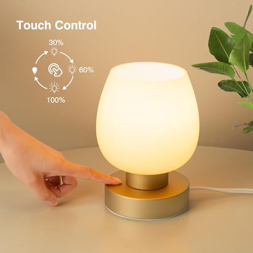 Touch Bedside Table Lamp - Desert Titanium Color Glass Lamp Shade, Warm LED Bulb, 3 Way Dimmable, Simple Design
