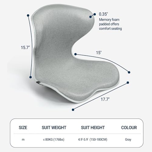 Season Guard Ergonomic Lumbar Support Pillow, Back Pain Posture Corrector