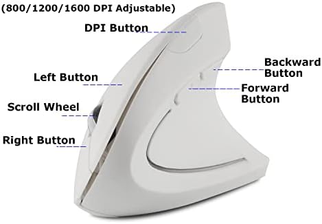 Wireless Mouse Ergonomic Vertical Ergo High Presion Optical Lightweight Cordless LED Light Cute Wireless Mice for Laptop Computer Mac Office Girl Boy Women Men Gift,800/1200/1600 DPI,6 Buttons