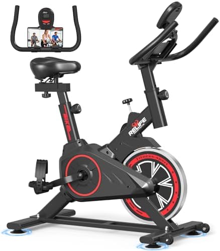 RELIFE REBUILD YOUR LIFE Exercise Bike, Friction Stationary Bike for Home