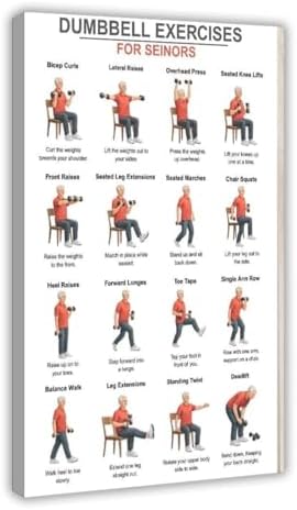 Dumbbell Exercises for Seniors Seated Chair Strength Workout Balance And Stability Training Canvas Poster Wall Art for Living Room Bedroom Decor Frame 24x36inch