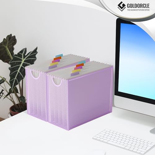 Letter-Size Hanging File Organizer (Purple, with 5 Grey Folders)